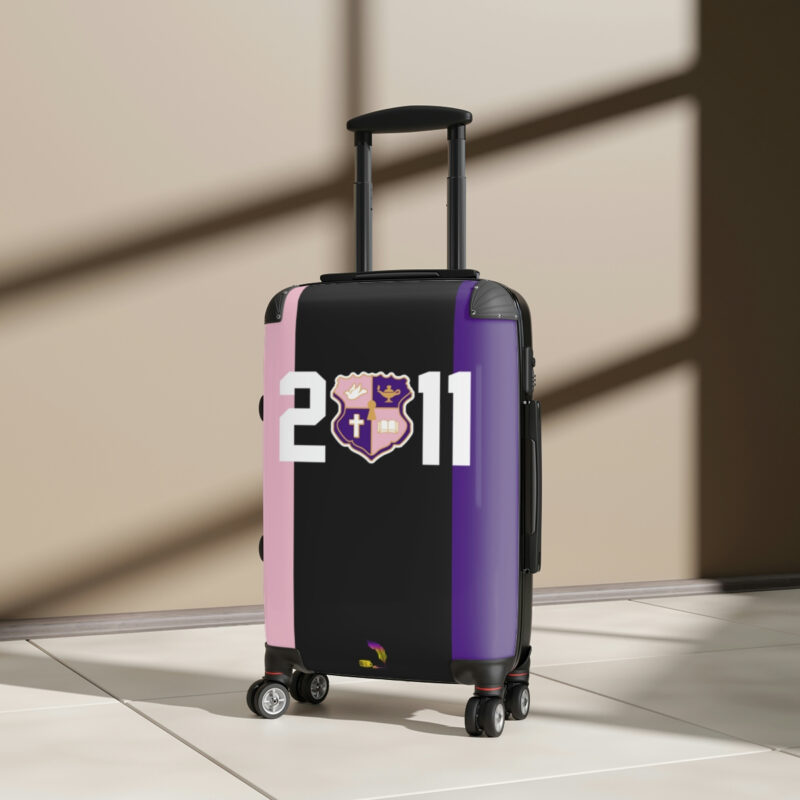 color blocked suitcases