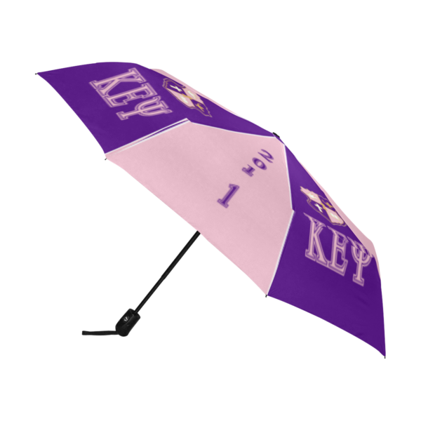 Two-tone purple and pink umbrella.